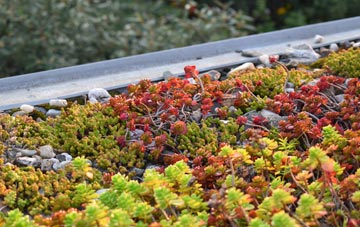 the cost of Anstruther Wester green roof installation