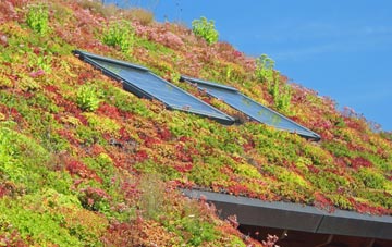 Anstruther Wester living roof systems