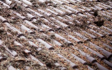 Anstruther Wester roof cleaning companies